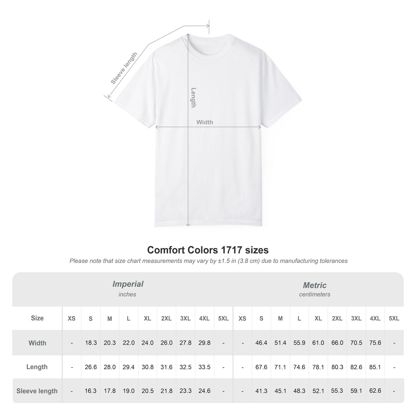 Bookish Baddie Comfort Colors T-Shirt