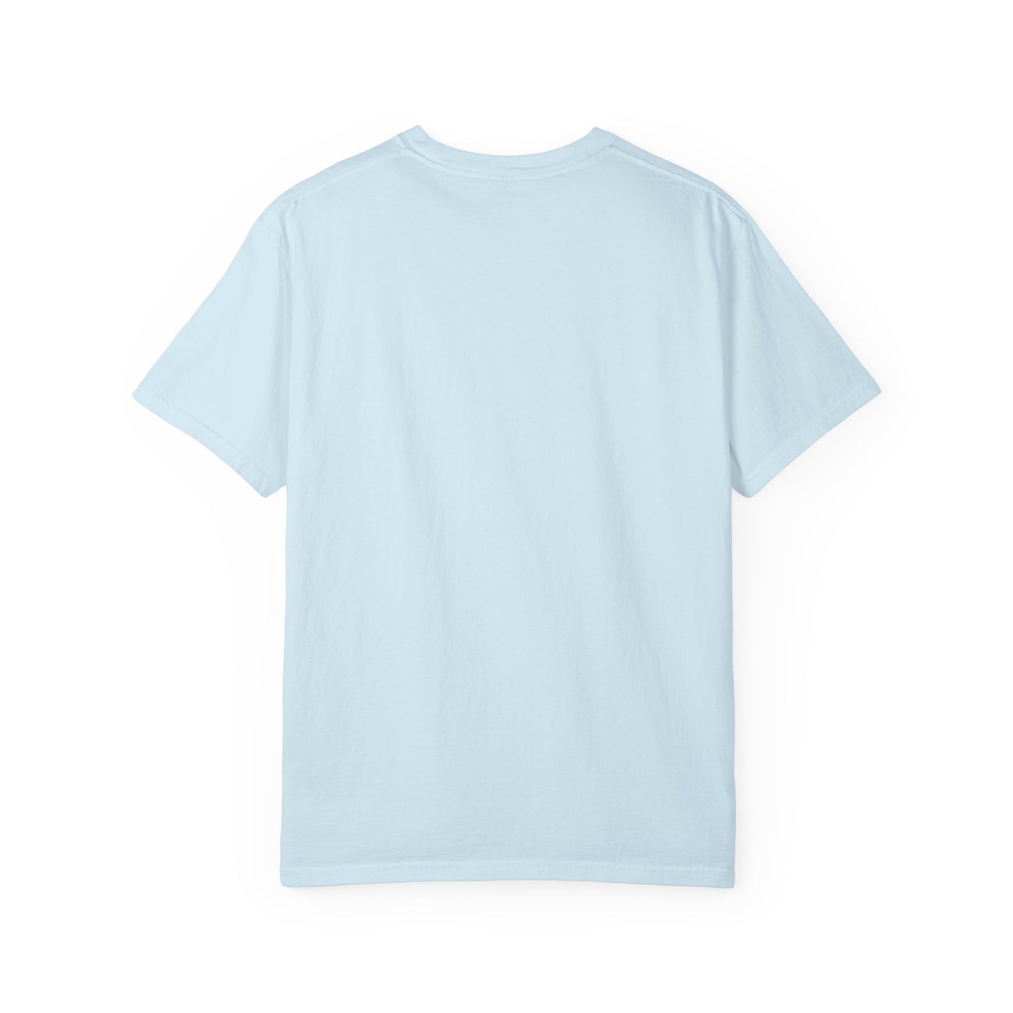 It's A Good Day To Protect Democracy T-Shirt