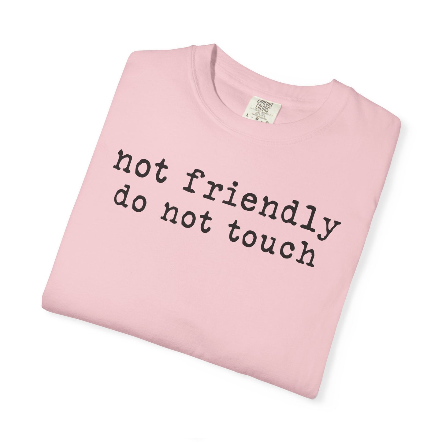 Not Friendly Do Not Touch T-Shirt