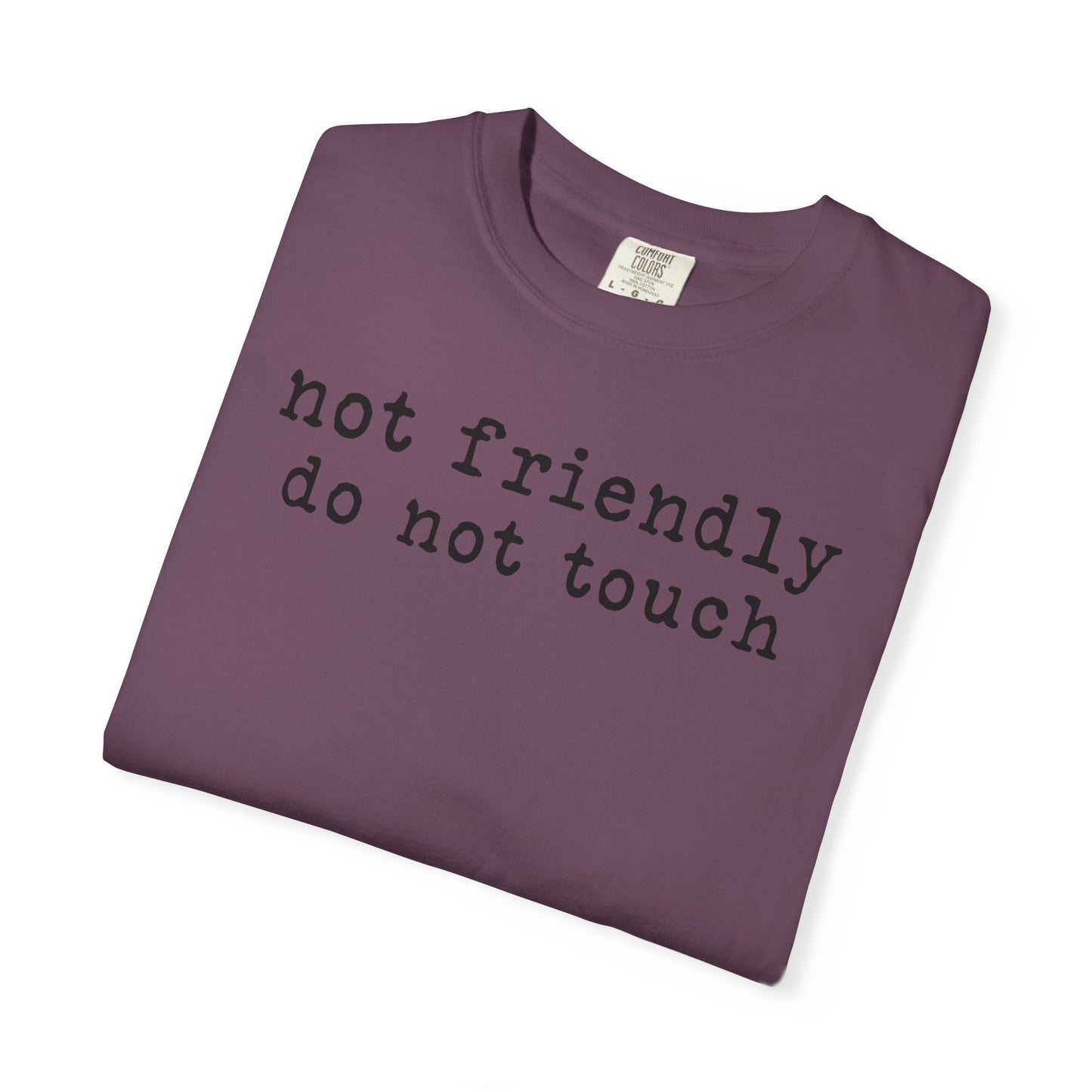 Not Friendly Do Not Touch T-Shirt