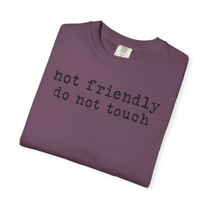 Not Friendly Do Not Touch T-Shirt