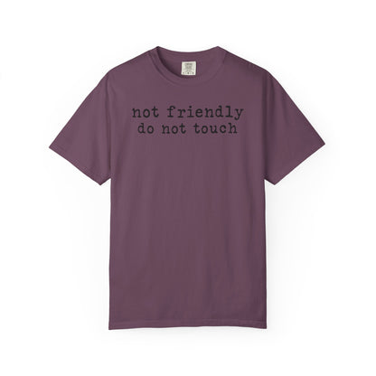 Not Friendly Do Not Touch T-Shirt