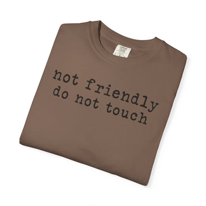 Not Friendly Do Not Touch T-Shirt