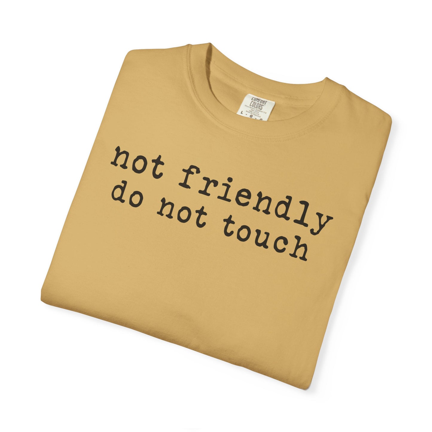 Not Friendly Do Not Touch T-Shirt