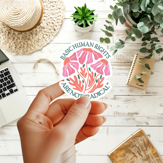 Basic Human Rights Are Not Radical Sticker