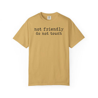 Not Friendly Do Not Touch T-Shirt
