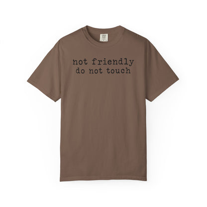 Not Friendly Do Not Touch T-Shirt