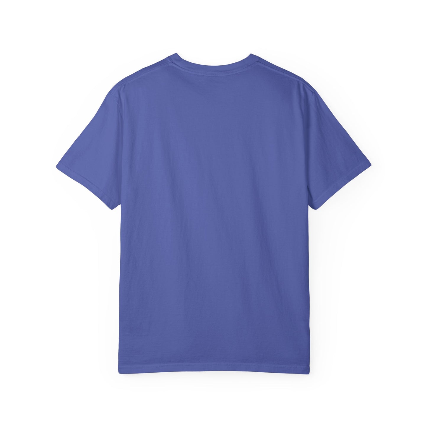 Imagine Being Afraid Of Diversity But Not Dictatorship T-Shirt