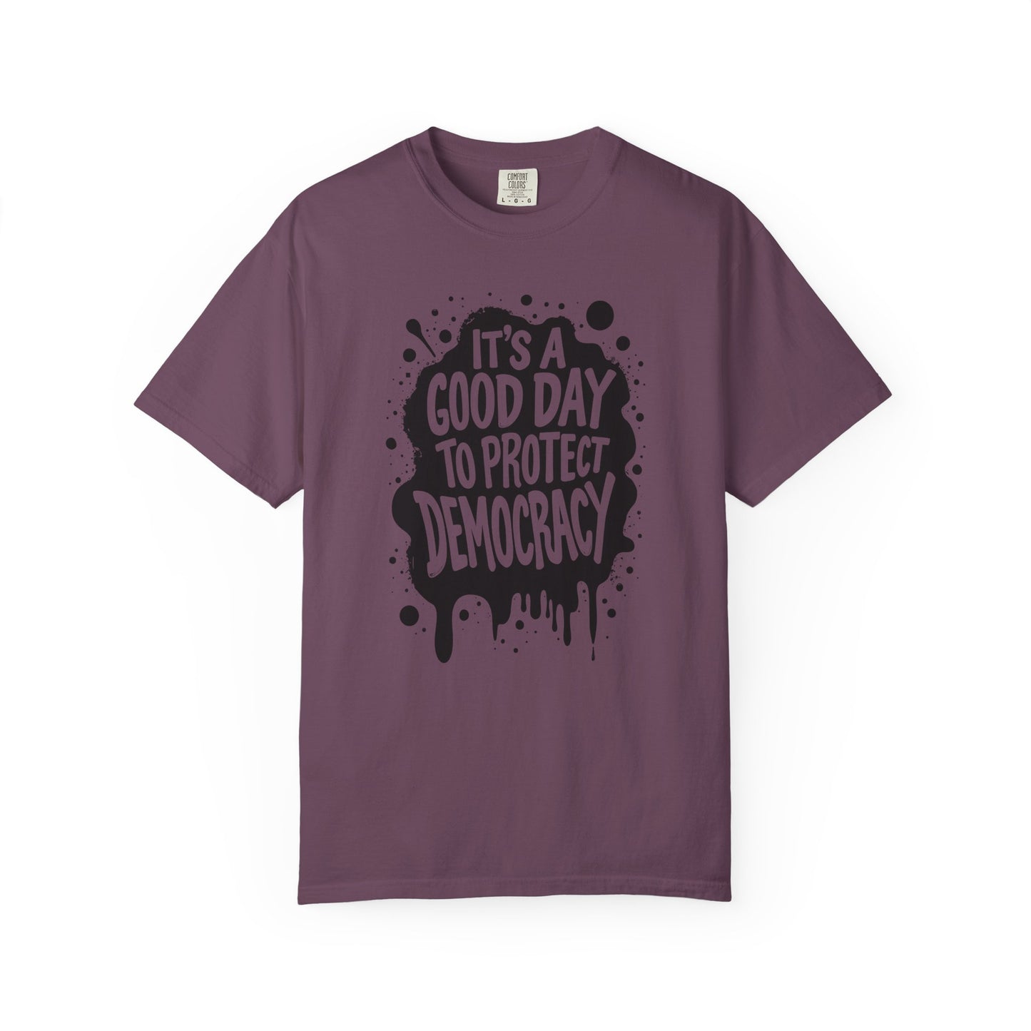 It's A Good Day To Protect Democracy T-Shirt