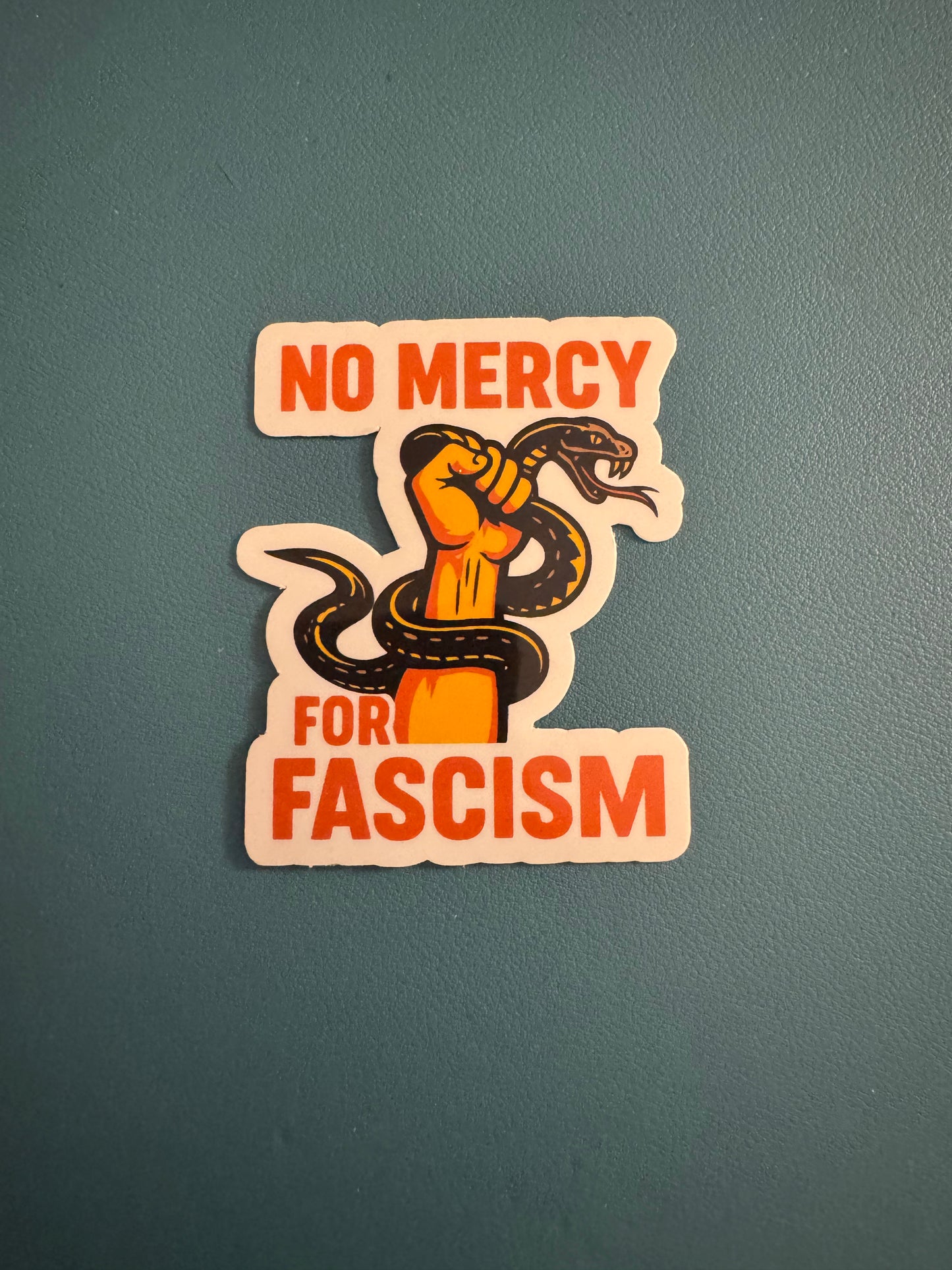 No Mercy For Fascism Sticker